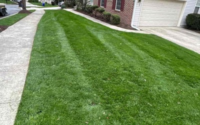 Photo of Cheryl S.'s yard after getting lawn care in Germantown, MD