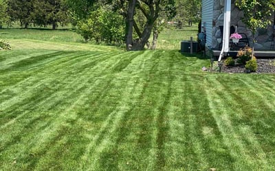 Photo of Francis H.'s yard after getting lawn care in Grand Blanc, MI