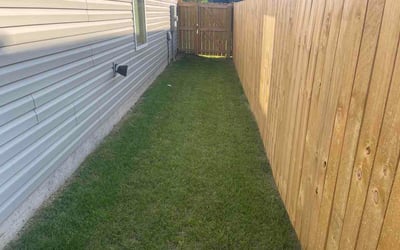 Photo of Adrienne E.'s yard after getting lawn care in Columbia, MO