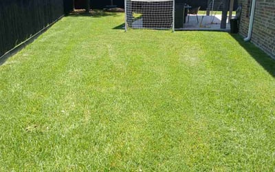Photo of Peter H.'s yard after getting lawn care in Tomball, TX