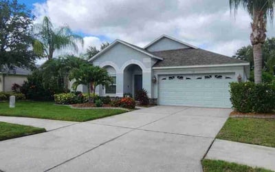 Photo of K A.'s yard after getting lawn care in Ruskin, FL
