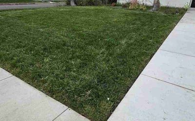 Photo of Troy M.'s yard after getting lawn care in Rancho Palos Verdes, CA