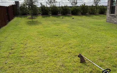 Photo of Tommy R.'s yard after getting lawn care in Grain Valley, MO
