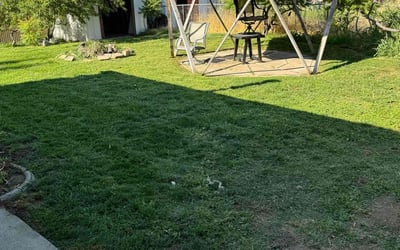 Photo of Tammy W.'s yard after getting lawn care in Clearfield, UT