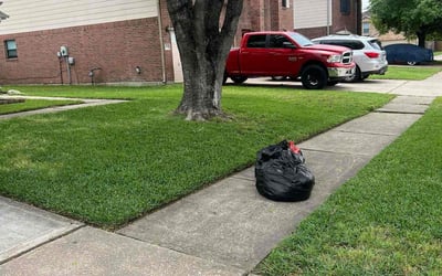 Photo of Tahnesha B.'s yard after getting lawn care in Stratford, CT