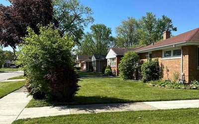 Photo of Ron B.'s yard after getting lawn care in Westchester, IL