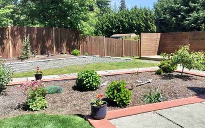 Photo of Shahana A.'s yard after getting lawn care in Kirkland, WA