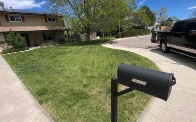 Photo of Mary S.'s yard after getting lawn care in Holiday, FL