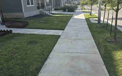 Photo of Chris J.'s yard after getting lawn care in Leander, TX