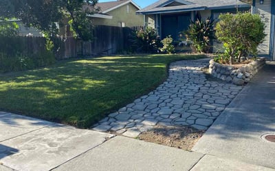 Photo of Robin H.'s yard after getting lawn care in Shingle Springs, CA