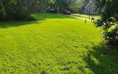 Photo of Sharolyn G.'s yard after getting lawn care in Macon, GA