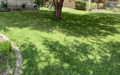 Photo of Diane M.'s yard after getting lawn care in Saco, ME