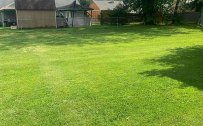 Photo of Robert T.'s yard after getting lawn care in Alpharetta, GA