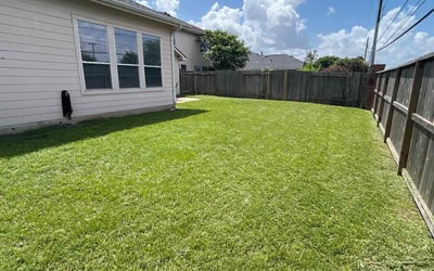 Photo of Wendee S.'s yard after getting lawn care in Renton, WA