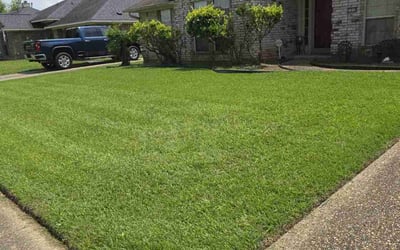 Photo of Debrah R.'s yard after getting lawn care in Green Valley, AZ