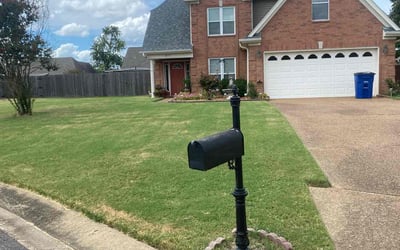 Photo of Vantaisha J.'s yard after getting lawn care in Olive Branch, MS