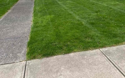 Photo of Joseph I.'s yard after getting lawn care in Brook Park, OH