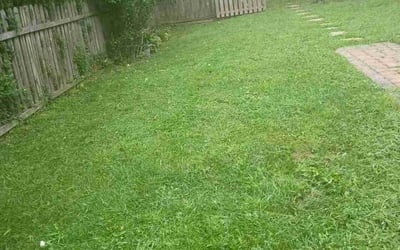 Photo of Bobby C.'s yard after getting lawn care in Liberty, SC
