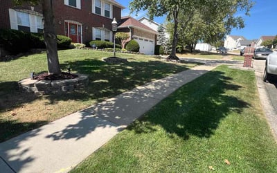 Photo of Deborah F.'s yard after getting lawn care in Saint Charles, MO