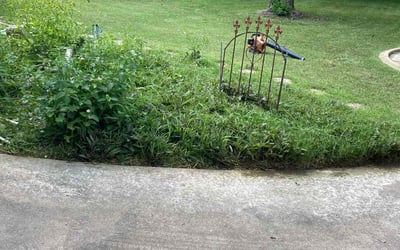 Photo of Nick T.'s yard after getting lawn care in Middletown, OH