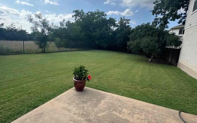 Photo of Hunter H.'s yard after getting lawn care in Liberty Hill, TX