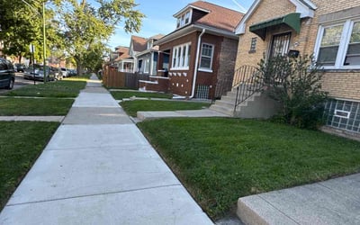 Photo of Loretta L.'s yard after getting lawn care in Chicago, IL