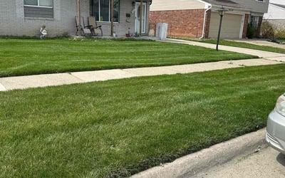 Photo of Katherine S.'s yard after getting lawn care in Madison Heights, MI