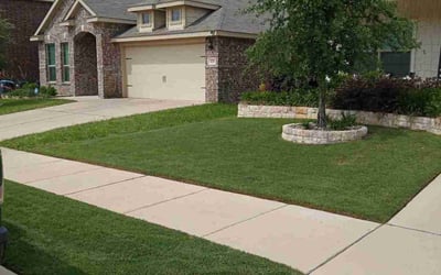 Photo of Debbie M.'s yard after getting lawn care in Fort Worth, TX