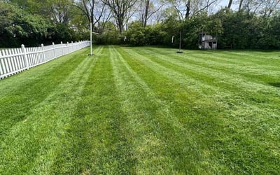Photo of Sue H.'s yard after getting lawn care in Miamisburg, OH