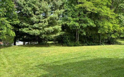 Photo of Janeson K.'s yard after getting lawn care in Roanoke, VA