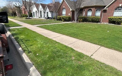 Photo of April K.'s yard after getting lawn care in Florence, AZ