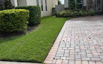 Photo of Daria S.'s yard after getting lawn care in Ridgefield, CT
