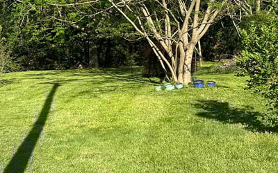 Photo of Devon B.'s yard after getting lawn care in Newton, NC