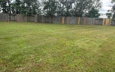 Photo of Ralph G.'s yard after getting lawn care in Antelope, CA