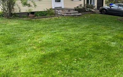 Photo of Teri D.'s yard after getting lawn care in Rocky Hill, CT