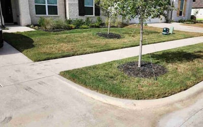Photo of Fred L.'s yard after getting lawn care in Waxahachie, TX