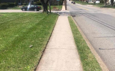 Photo of Tyler D.'s yard after getting lawn care in Oxford, PA