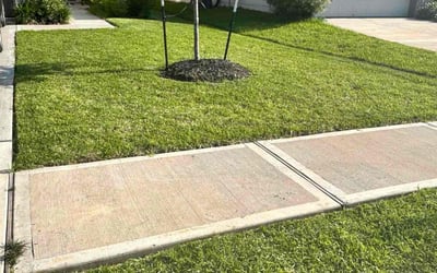 Photo of Belinda B.'s yard after getting lawn care in Tomball, TX