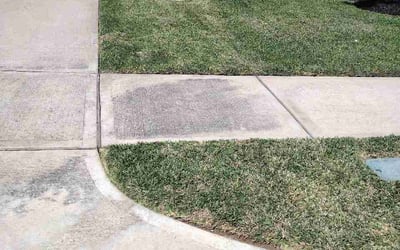 Photo of Priscilla R.'s yard after getting lawn care in Black Mountain, NC