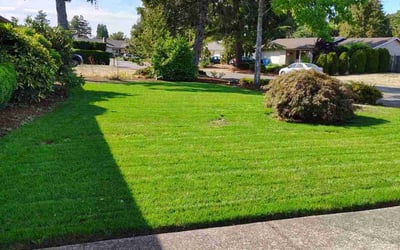 Photo of Deanna L.'s yard after getting lawn care in Vancouver, WA