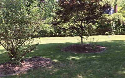 Photo of Annette G.'s yard after getting lawn care in Franklinton, NC