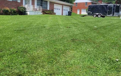 Photo of Andrea A.'s yard after getting lawn care in Knoxville, TN