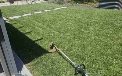 Photo of Diatrah P.'s yard after getting lawn care in Indio, CA