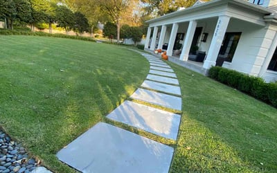 Photo of Antonio B.'s yard after getting lawn care in Delano, CA