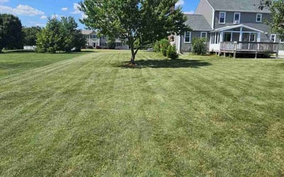 Photo of John B.'s yard after getting lawn care in Uxbridge, MA