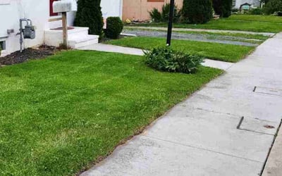 Photo of Elizabeth W.'s yard after getting lawn care in Pleasanton, TX