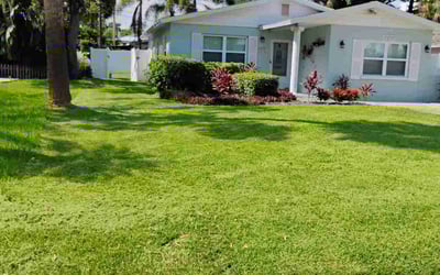 Photo of Deborah W.'s yard after getting lawn care in Coraopolis, PA