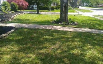 Photo of Theresa W.'s yard after getting lawn care in Howell, MI