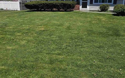 Photo of Dave K.'s yard after getting lawn care in West Roxbury, MA