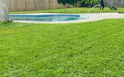 Photo of Nancy P.'s yard after getting lawn care in El Centro, CA